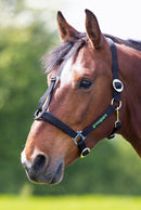 Greenguard Grazing Muzzle and optional Headcollar