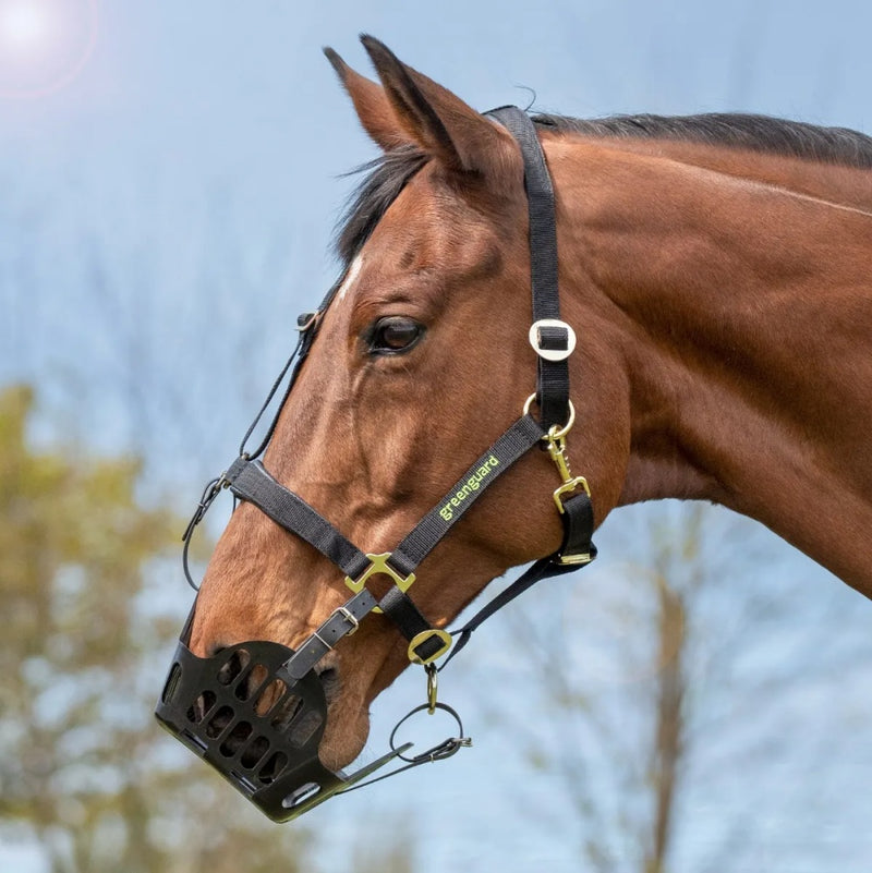 Greenguard Grazing Muzzle & Headcollar