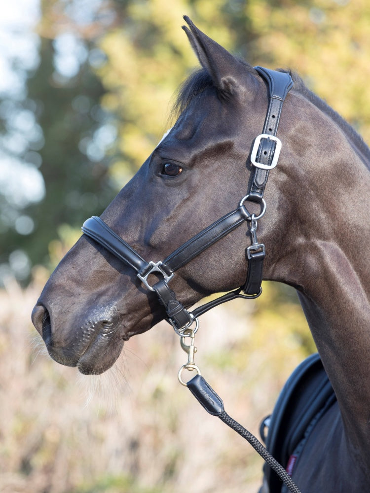 LeMieux Anatomic Leather Headcollar