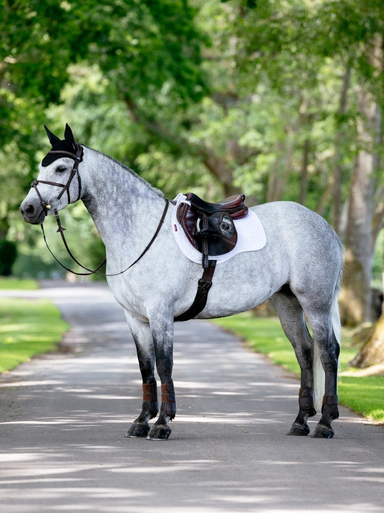 LeMieux ProSport Suede GP Square