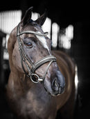 LeMieux Arika Dressage Bridle