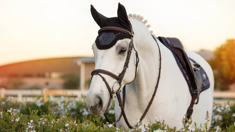 LeMieux Elite Fly Hood