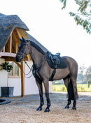 LeMieux Jump Work Pad