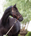 LeMieux Anatomic Leather Headcollar