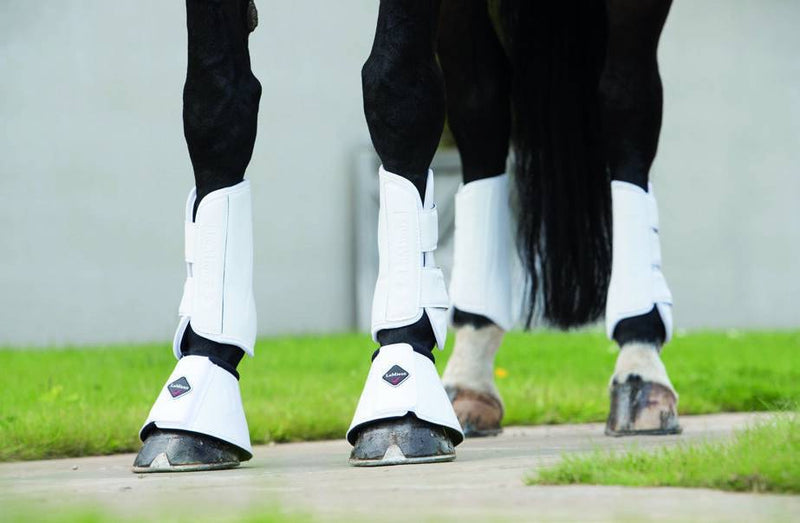 LeMieux Dressage Schooling Boots