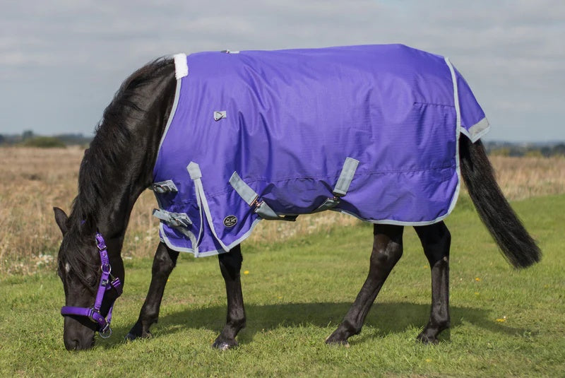 Mark Todd Lightweight Pony Turnout Rug