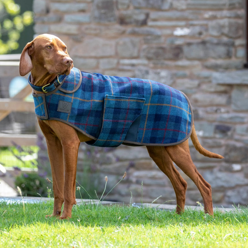 Digby & Fox Dog Tweed Dog Coat