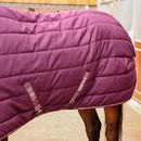 Shires Tempest Original 300 Stable Combo