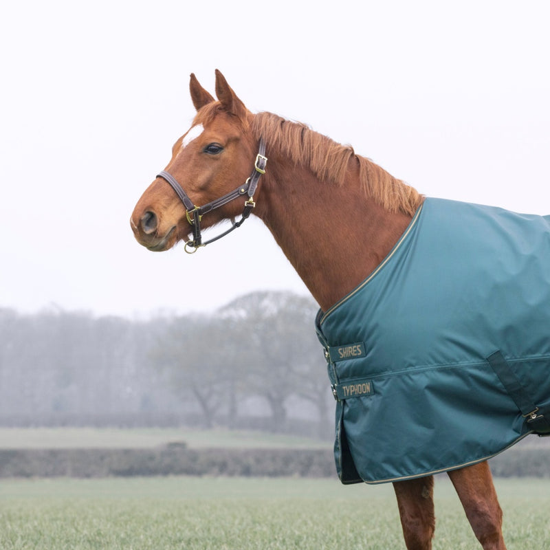 Shires Typhoon 200 Turnout Rug 840 denier