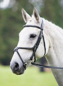 Shires Avignon Grackle Bridle