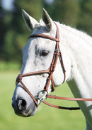 Shires Avignon Grackle Bridle