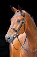 Salisbury Berrington Bridle