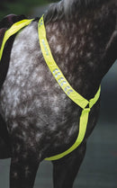Shires Equi-Flector Breastplate
