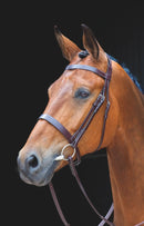 Salisbury Berrington Bridle