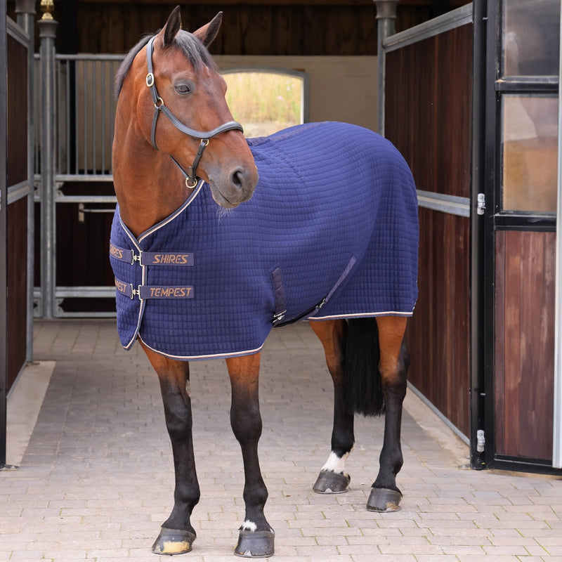 Shires Original Tech Cooler Rug