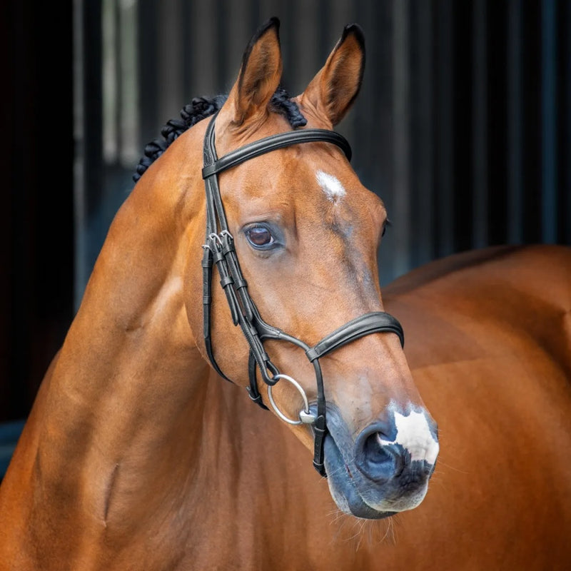 Velociti LUSSO Rolled Padded Cavesson Bridle