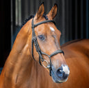 Velociti LUSSO Rolled Padded Cavesson Bridle