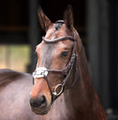 Velociti LUSSO Elite Grackle Bridle