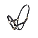 Velocity GARA Adjustable Leather Headcollar (Foal to Yearling)