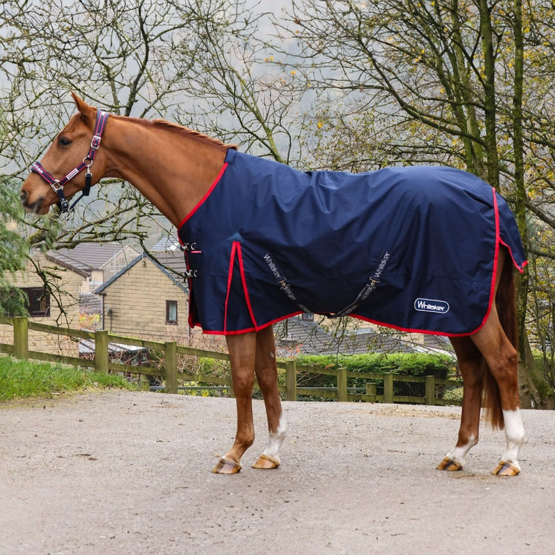 Whitaker Rastrick 0g Standard Neck Turnout Rug