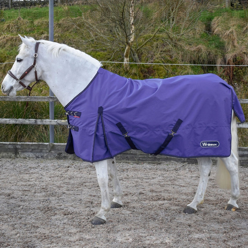 Whitaker Rastrick 0g Turnout Rug