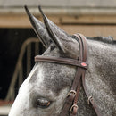 Whitaker Ready to Ride Mexican Bridle