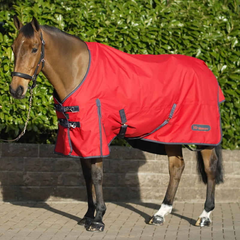 Whitaker Rastrick Turnout Rug 100g RED