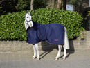 Whitaker Rastrick Cosy Show or Stable Rug