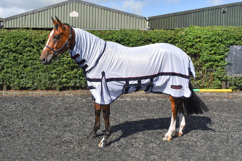 Whitaker Rastrick Fly Rug Mesh