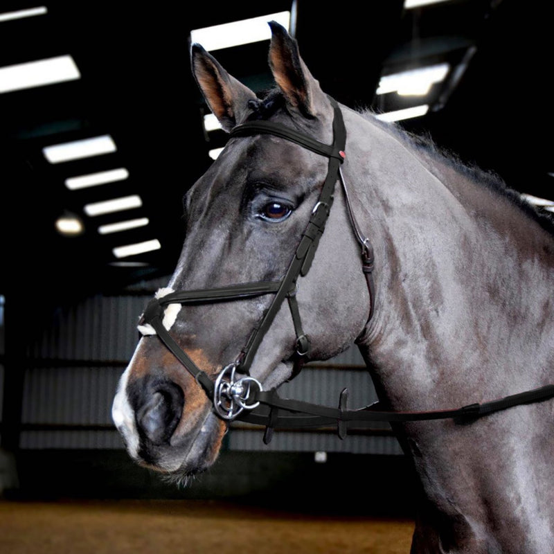 Whitaker Ready to Ride Mexican Bridle