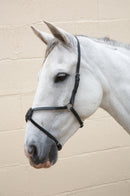 Hy Mexican Grakle Nose Band