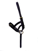 Hy Equestrian Leather Foal Slip