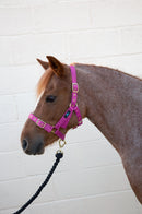 Hy Holly Fully Adjustable Headcollar