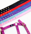 Hy Holly Fully Adjustable Headcollar