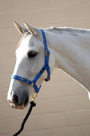 Hy Holly Fully Adjustable Headcollar