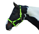 Hy Deluxe Padded Headcollar