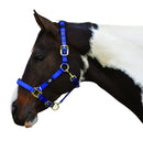 Hy Deluxe Padded Headcollar