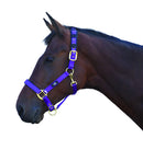 Hy Deluxe Padded Headcollar