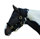 Hy Deluxe Padded Headcollar