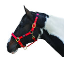 Hy Deluxe Padded Headcollar