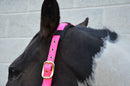 Hy Deluxe Padded Headcollar