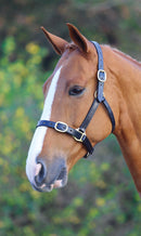 Velocity GARA Fully Adjustable Leather Headcollar
