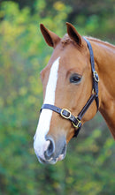 Velocity GARA Fully Adjustable Leather Headcollar