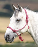 Shires Rope Control Headcollar