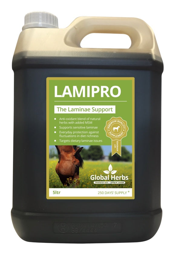 Global Herbs LamiPro Supplement - 10% OFF