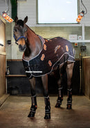 LeMieux Conductive Magno Rug