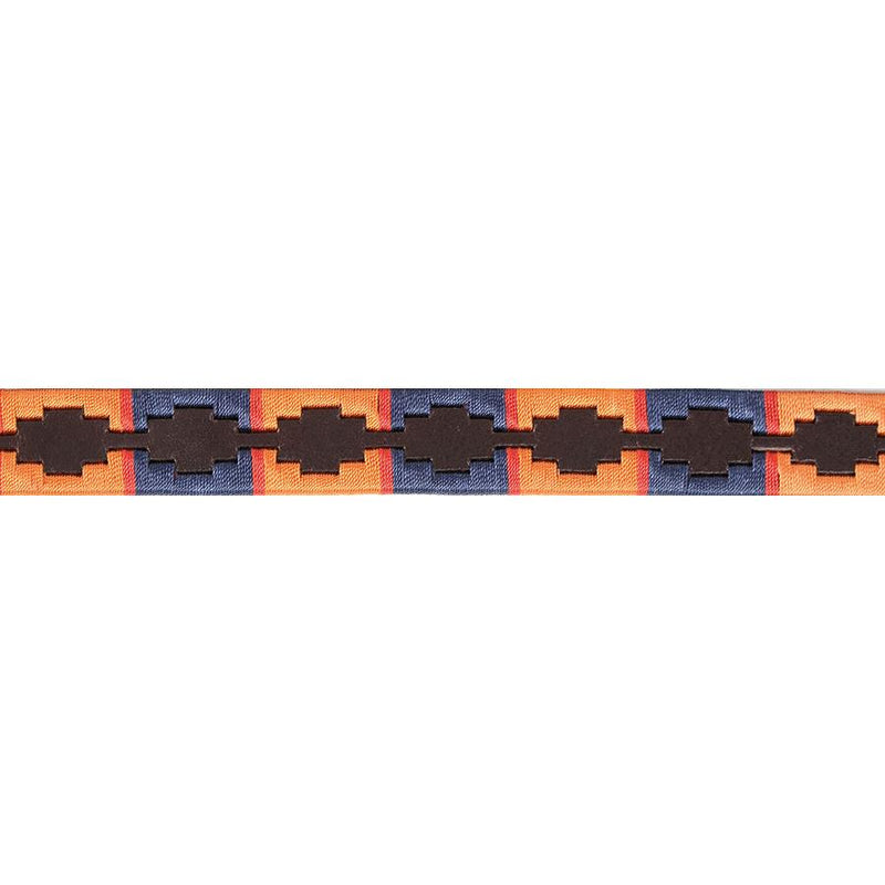 Aubrion Drover Polo Belt