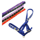 Eclipse Soft Padded Foal Headcollar