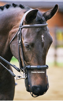 Equilibrium Net Relief Muzzle Net