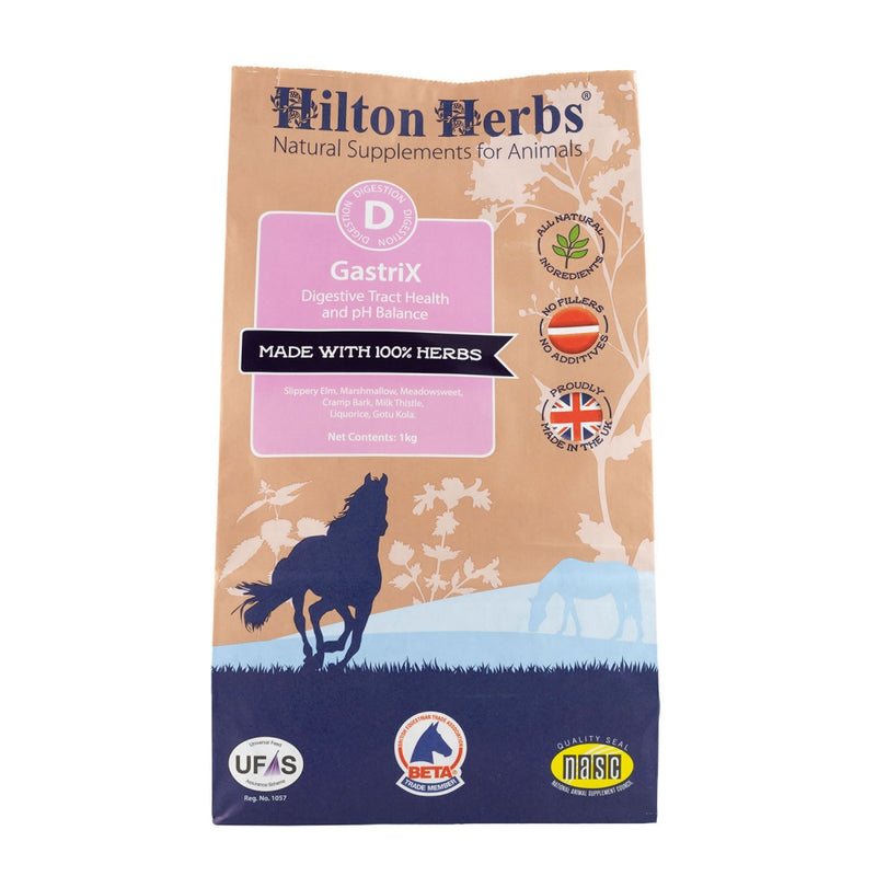 Hilton Herbs Gastri-X